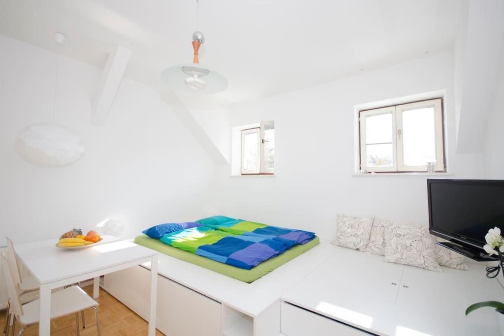 The Cute, Sunny Apartment In The Center +P Ljubljana Exterior photo